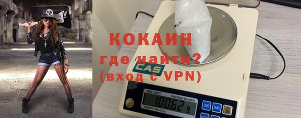 шишки Горно-Алтайск