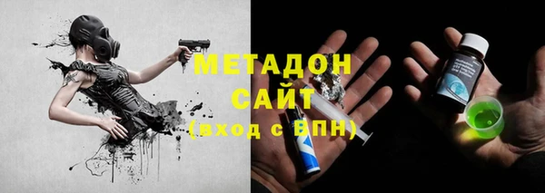 шишки Горно-Алтайск