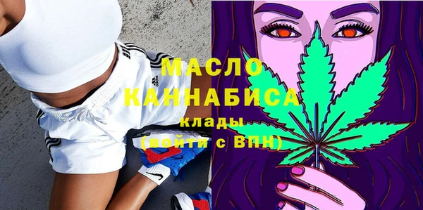 альфа пвп Гусев