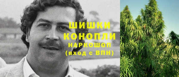 ГАЛЛЮЦИНОГЕННЫЕ ГРИБЫ Горнозаводск