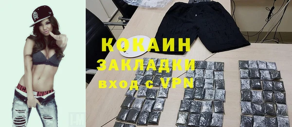 ГАЛЛЮЦИНОГЕННЫЕ ГРИБЫ Гусь-Хрустальный