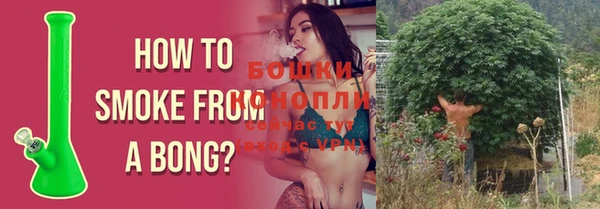 ГАЛЛЮЦИНОГЕННЫЕ ГРИБЫ Горнозаводск