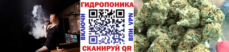 Купить Кольчугино Марихуана Bruce Banner